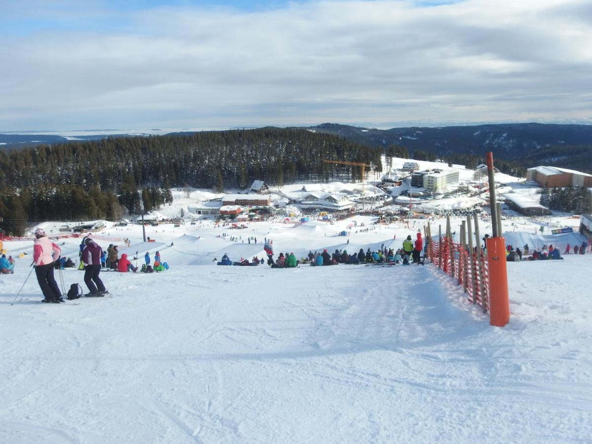 Enjoy Ferienwohnung Feldberg Grafenmatt Bagian luar foto