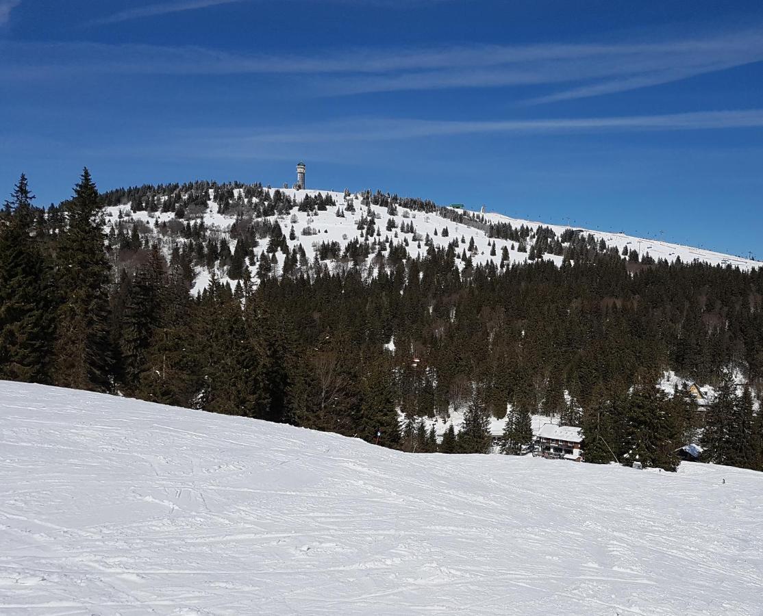 Enjoy Ferienwohnung Feldberg Grafenmatt Bagian luar foto