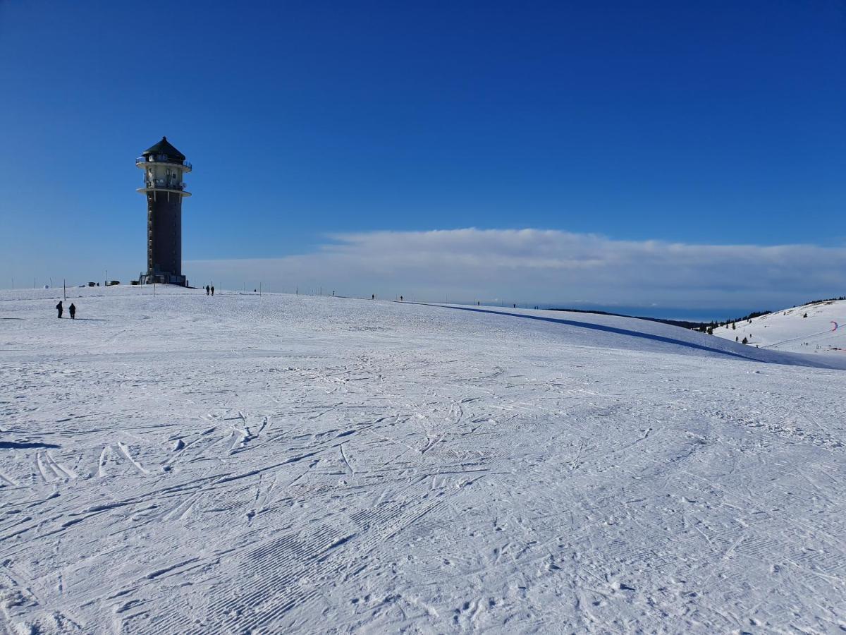 Enjoy Ferienwohnung Feldberg Grafenmatt Bagian luar foto