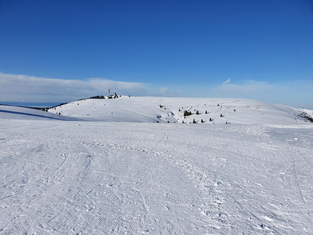 Enjoy Ferienwohnung Feldberg Grafenmatt Bagian luar foto